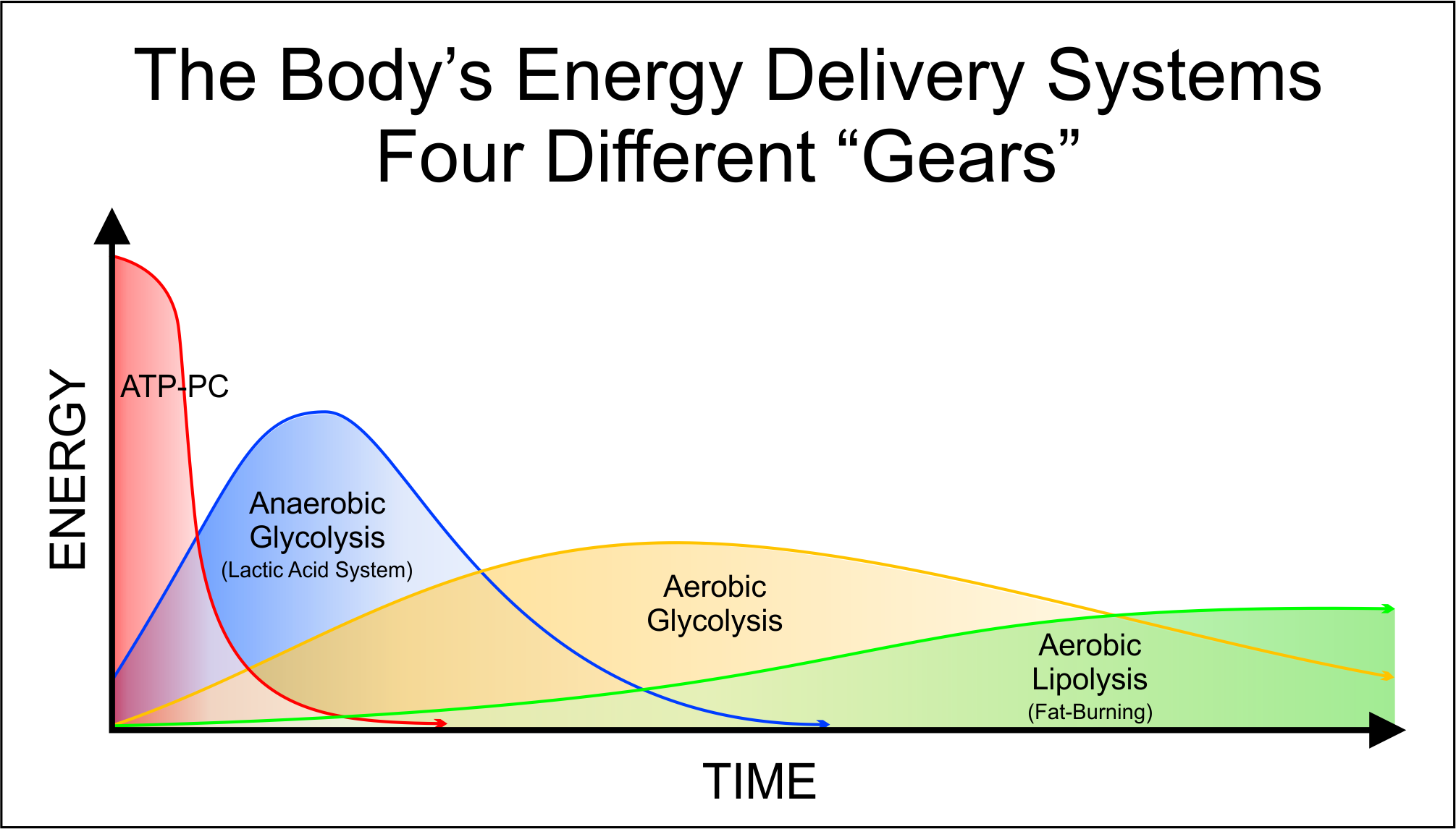 Energy Delivery Systems – ScienceBod.com 